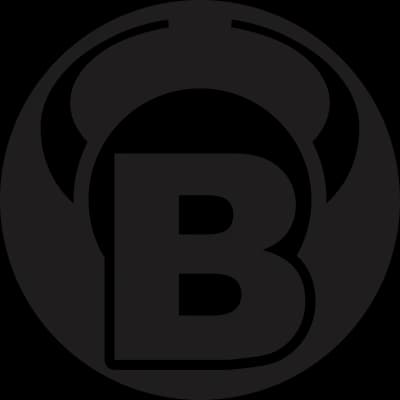 Bull's Germany Cases